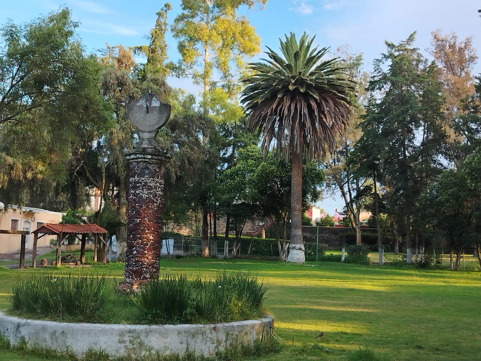 Vista del jardín